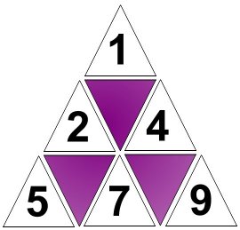 tri_01.jpg (12867 bytes)